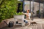 noa grow table warm grey